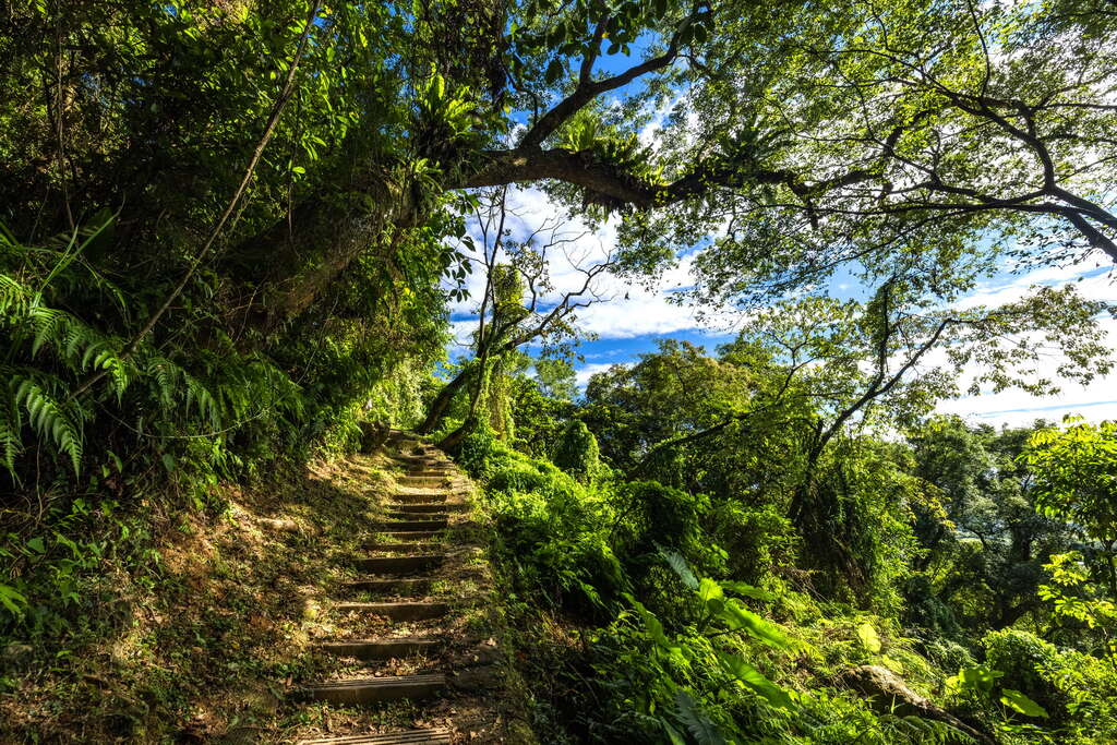 撒固兒步道　圖片來源：東區觀光圈