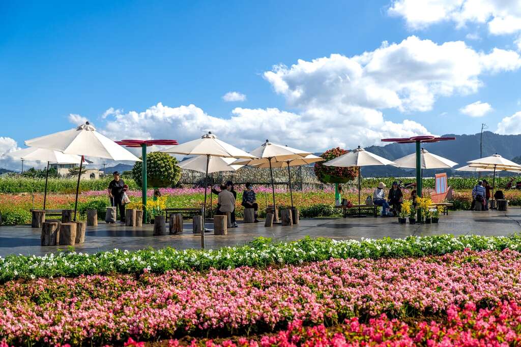 Sea of Flower in Xinshe and Taichung International