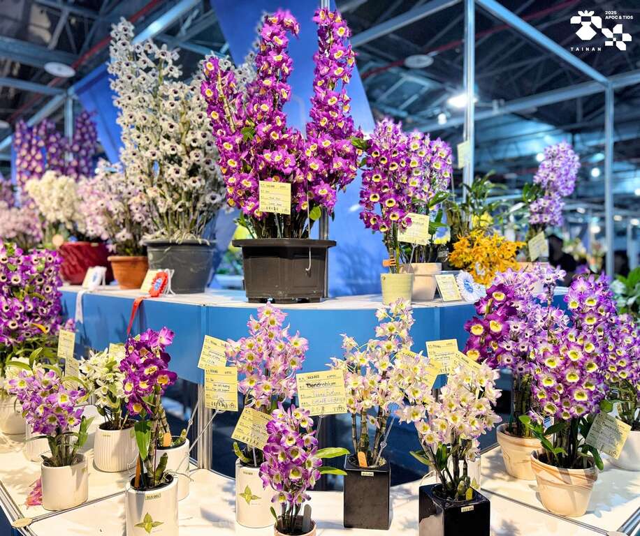 Taiwan International Orchid Show