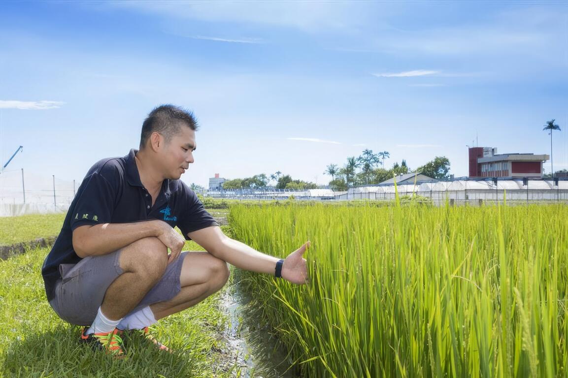 歸鄉三星子弟擅從商