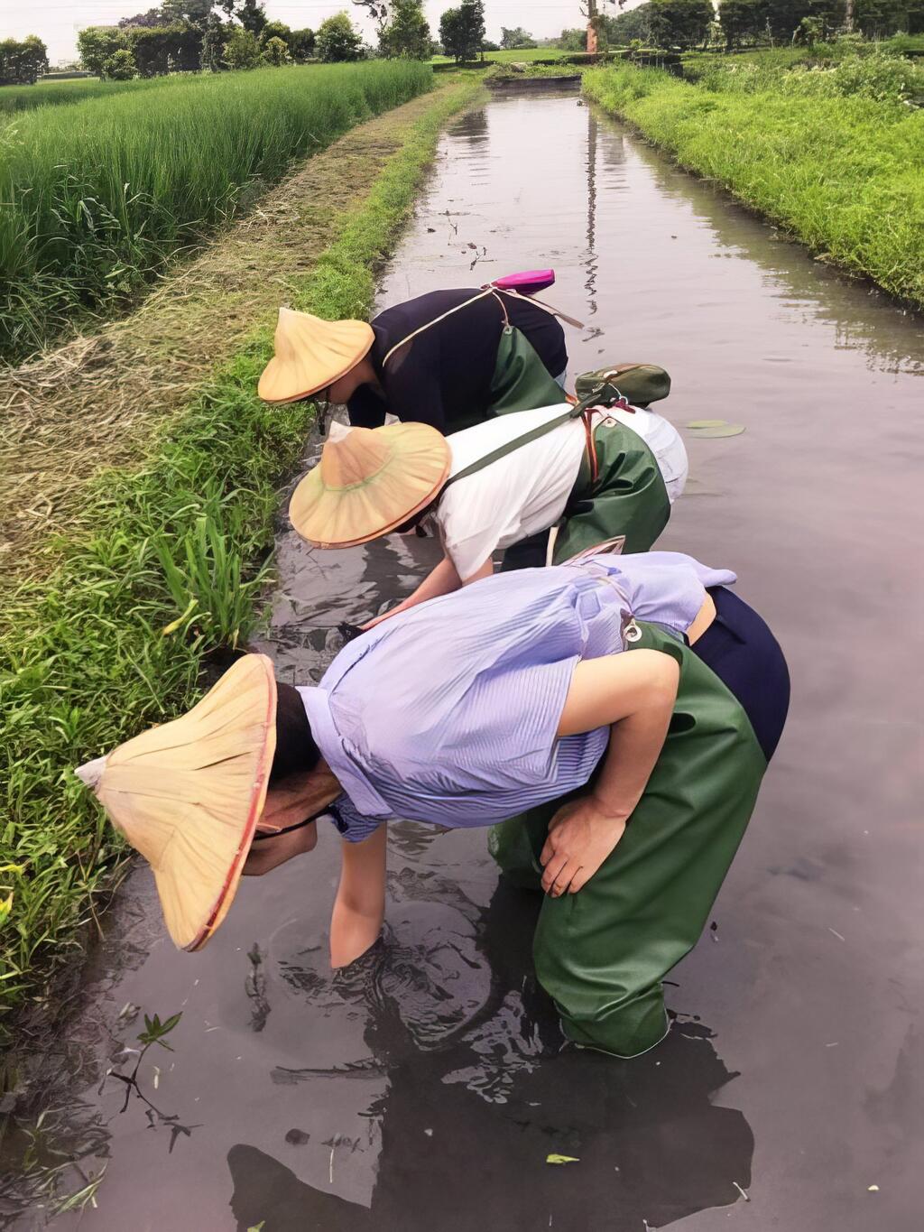 喜愛自然、順心從農