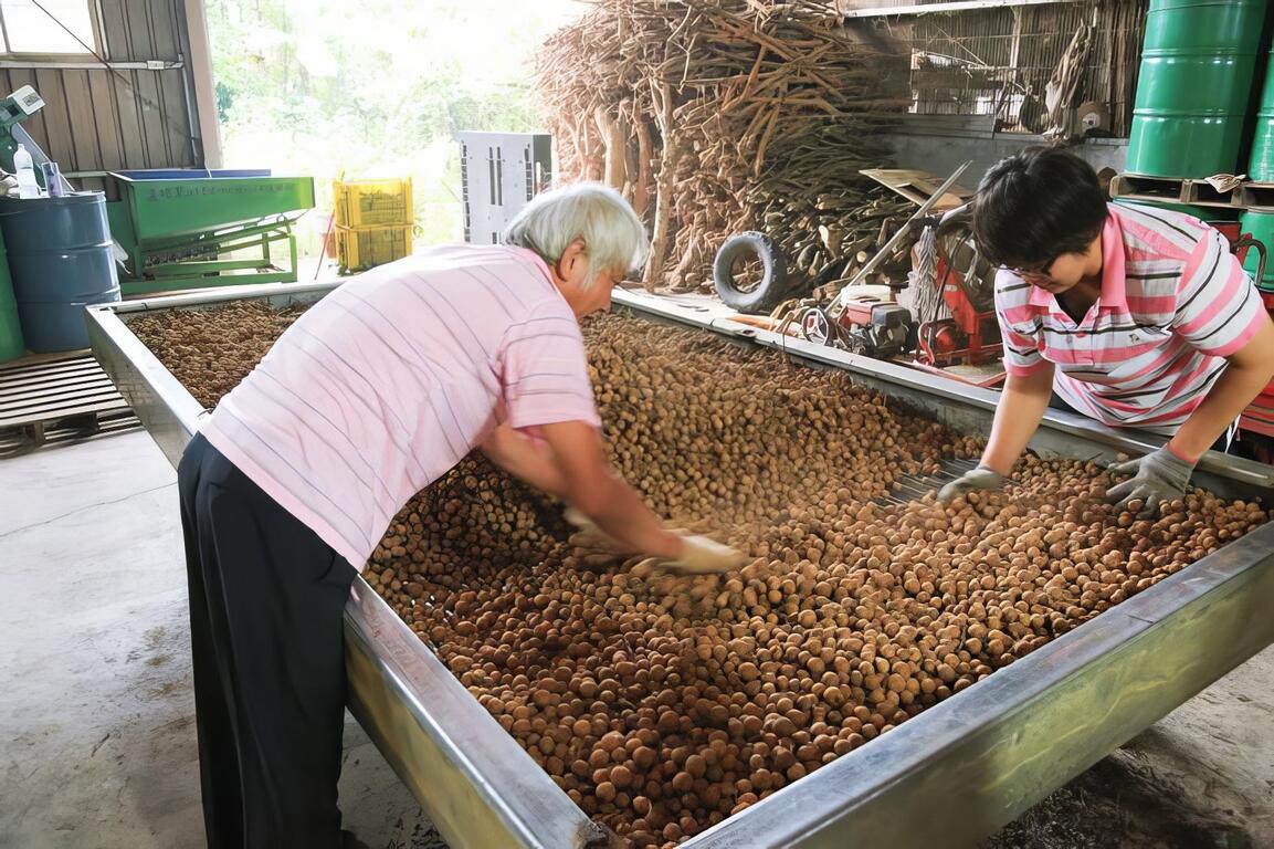 傳承技藝，不使土窯柴燒沒落的心願