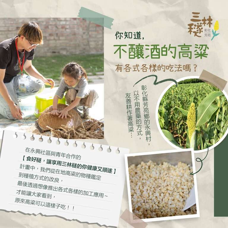 高粱可以這樣吃_取自台灣唯一不釀酒的高粱田FB