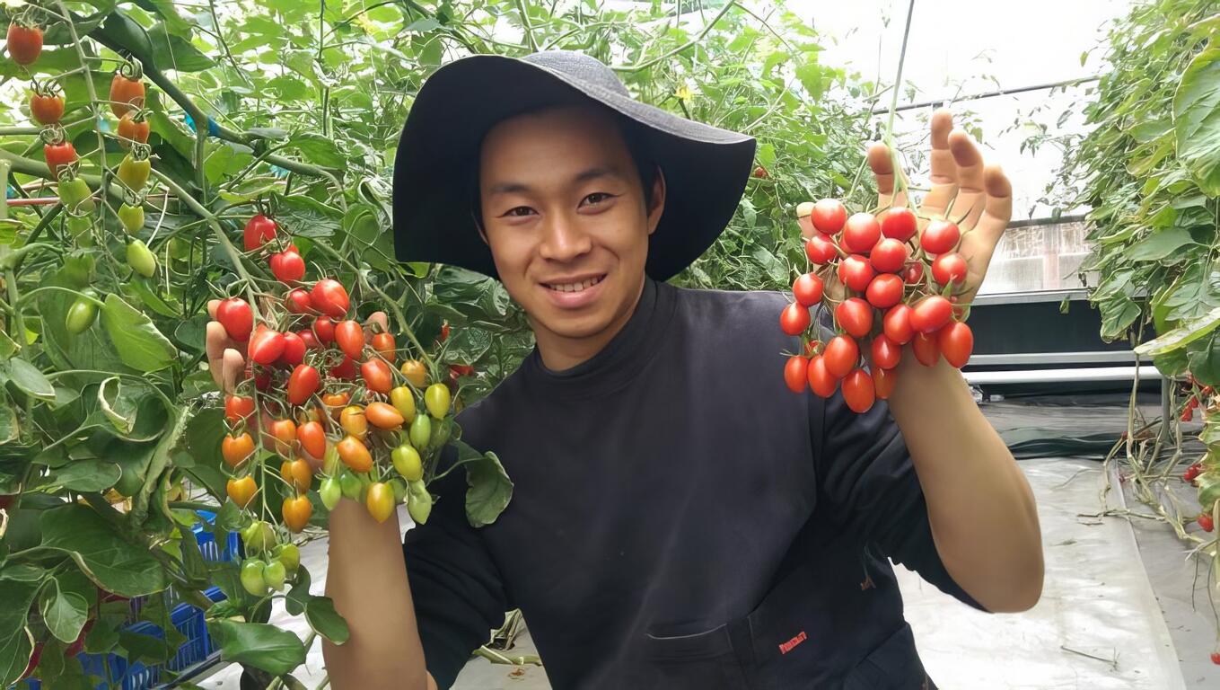 用專業堅持生產高品質蔬果
