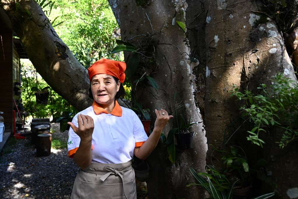 P05 李慧鳳散步農場裡，她強調石碇山谷特有的高濕度與低溫差氣候，正是適合野生蕨類與靈芝生長的天然溫床。