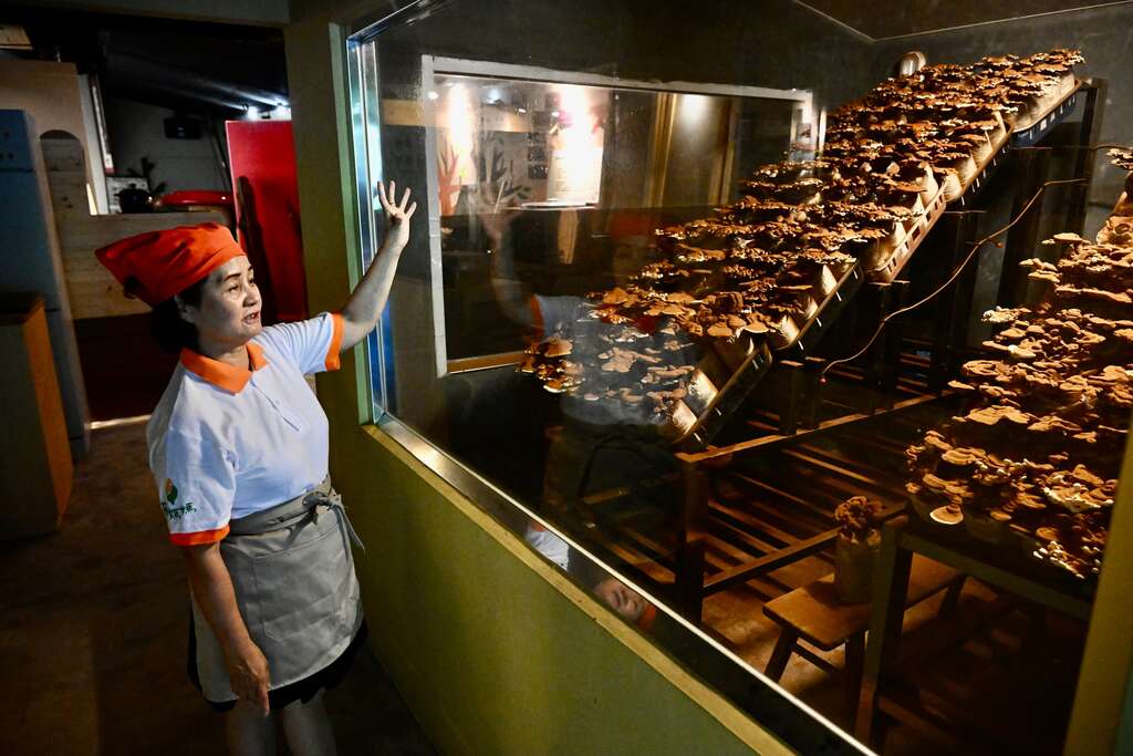 P02 透過大面玻璃隔窗，遊客可近距離觀察溫室內靈芝的生長，農場結合科技培育技術，打造食農教育參觀動線。