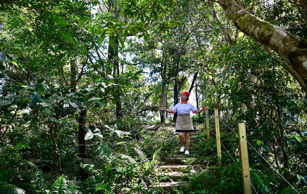 P04 農場周邊森林覆蓋良好，李慧鳳帶領遊客漫步於林間步道，享受充滿芬多精與負離子的天然空氣浴場，體驗天地人的共生智慧。