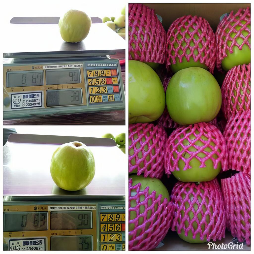 粒粒棗子果肉紮實