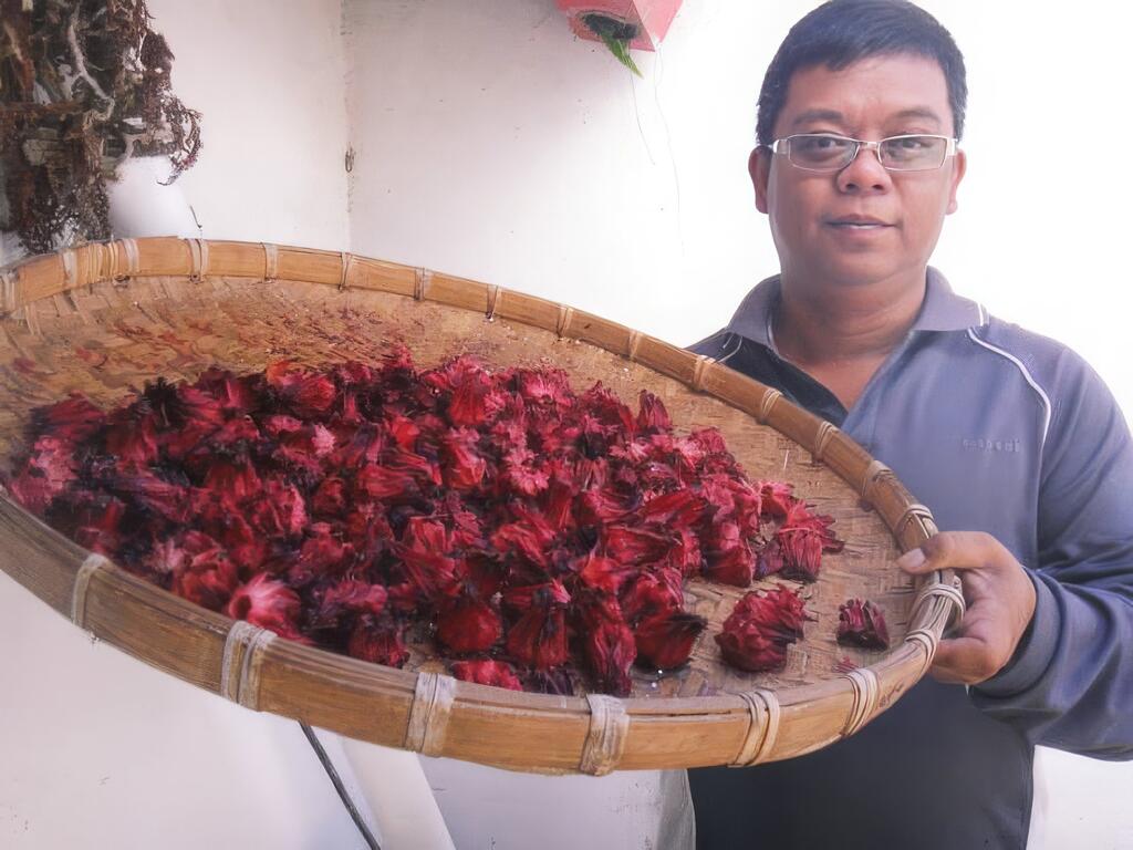 尋找與土地的聯結