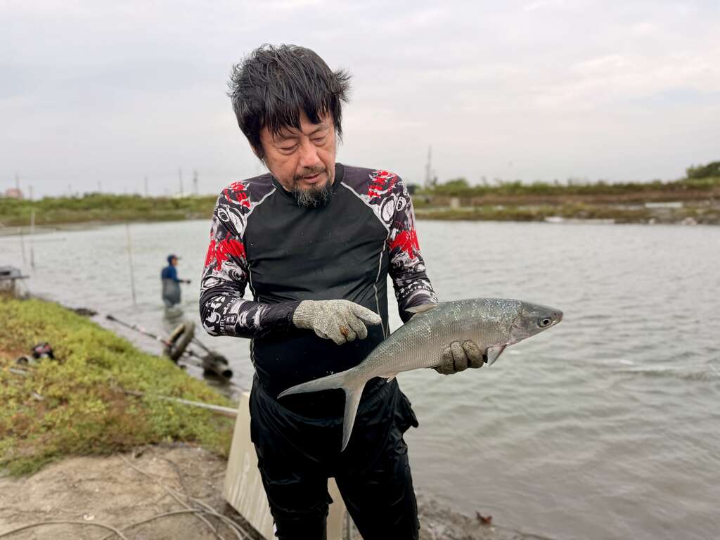 長盈海味屋第二代黃國良養的虱目魚，帶有十足風味