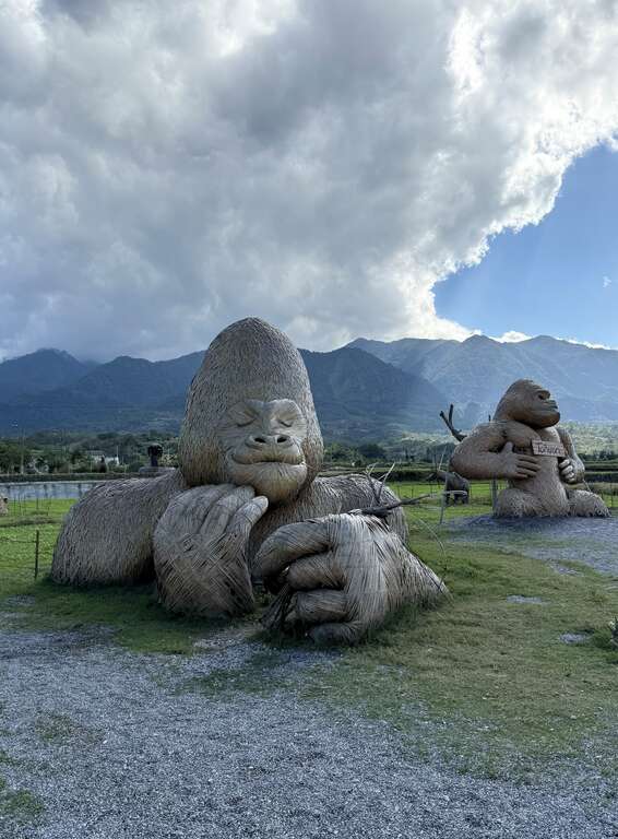 富里農會藝術季吉祥物，福猩的神態在花東縱谷暖陽下好欣然02。