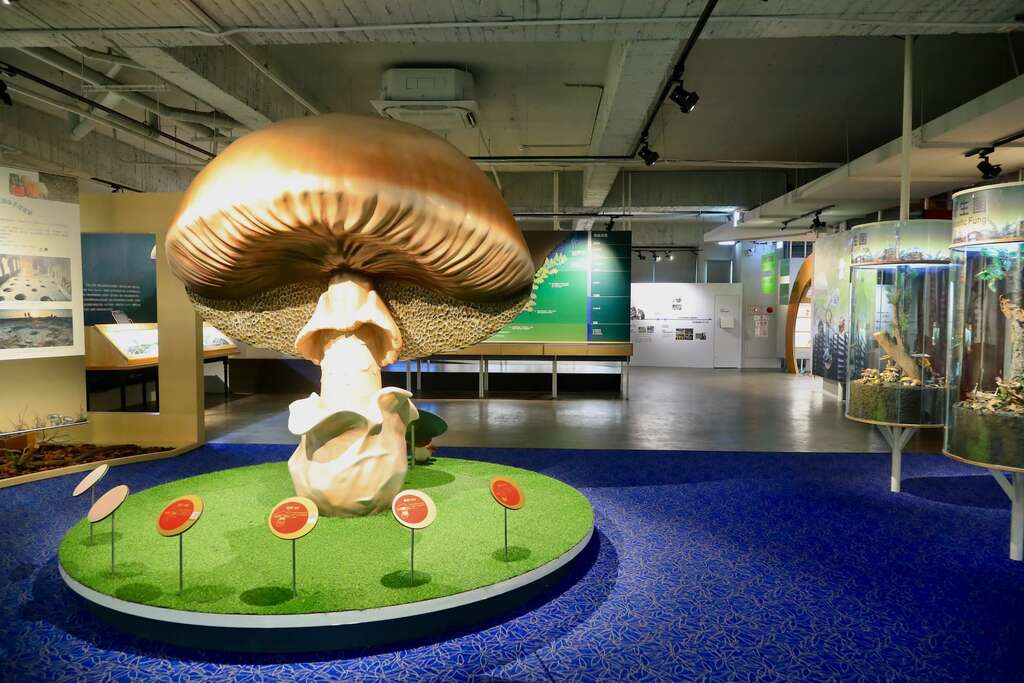 位於台中霧峰區農會大樓6樓的霧峰菇類產學館