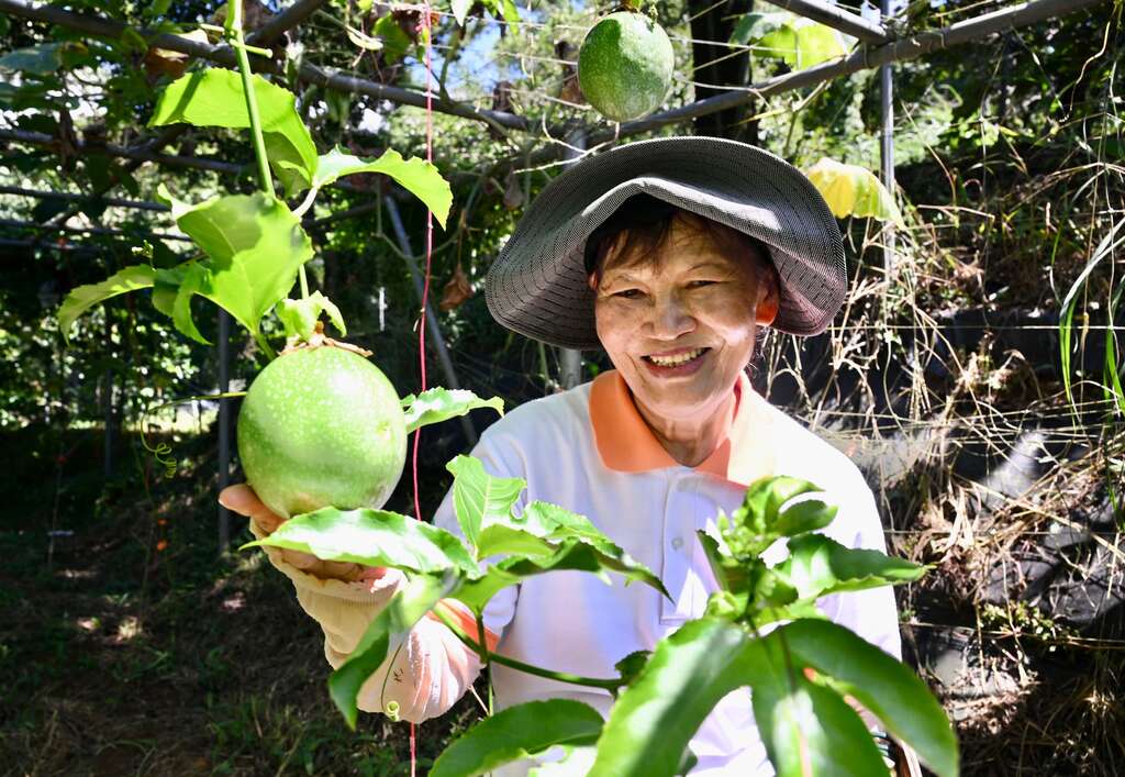 陽明山梅居休閒農場