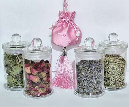 琉傳天下琉星花園