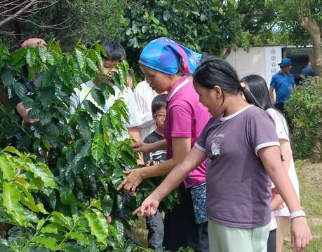 鼎春園農場(特色農遊認證場域)