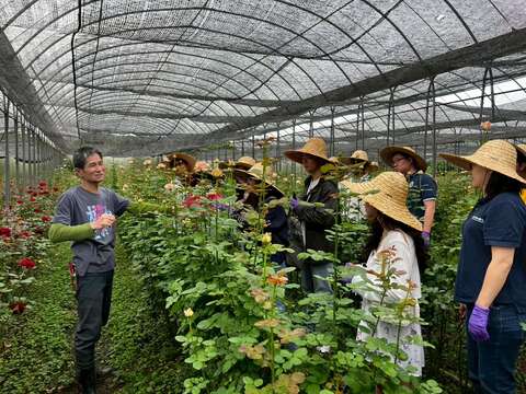 江家玫瑰園(特色農遊認證場域)