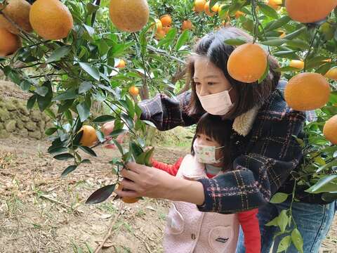 水寨一方休閒農場