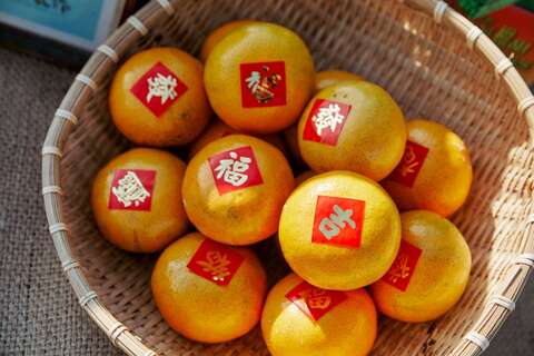 橙色農作休閒果園