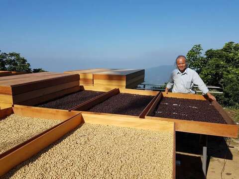 大鋤花間咖啡生態農場