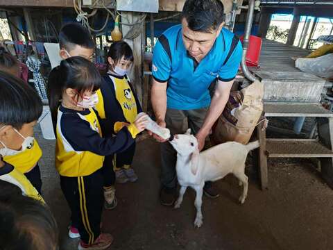 鐵翼下的牧場~皇佳羊牧場