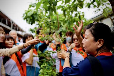 櫻田野養生休閒農莊