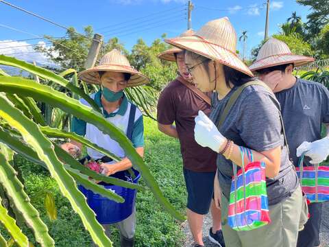 清優嶺農特產行