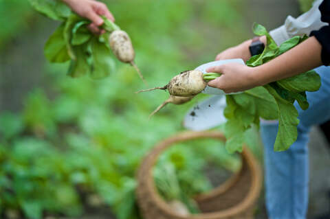 君達休閒農場(秧悦美地度假酒店) 