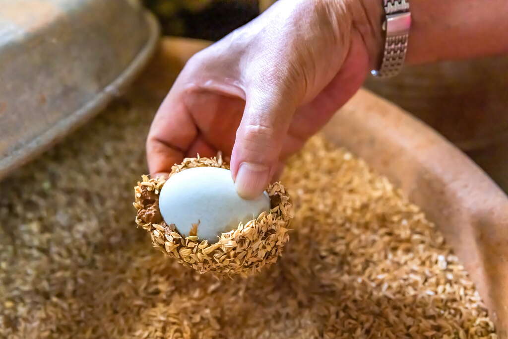 南部熱情手作食農之旅