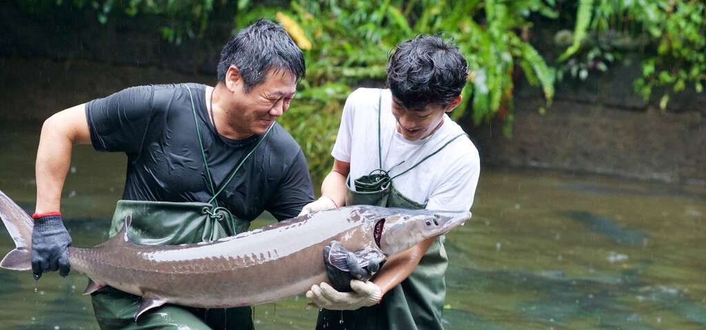 千戶傳奇生態農場-圖片來源：農遊超市
