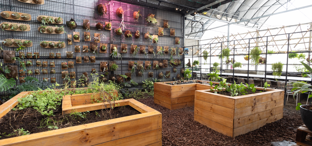 香草野園-圖片來源：農遊超市