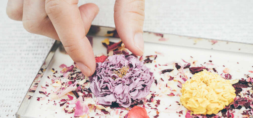 曙光玫瑰莊園-圖片來源：農遊超市