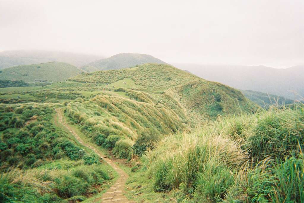 從擎天崗起步，北通金山、南抵士林