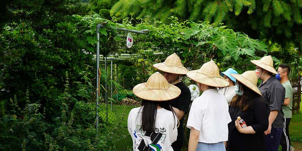 老大份休閒農場_森林生態旅遊（圖片來源：老大份休閒農場官網）