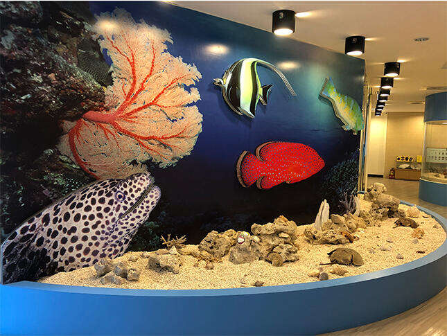 海洋資源復育園區-圖片來源：新北市觀光旅遊網