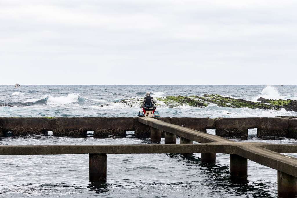 貢寮養殖九孔以半開放式的海水環境飼養
