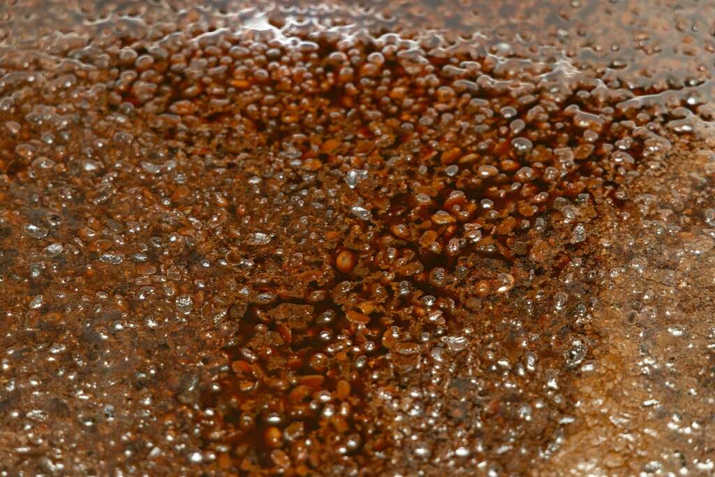 可從醬缸中看見黑豆發酵的過程