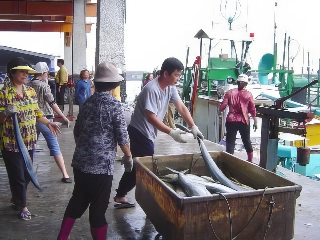 東海岸的美麗小鎮，處處充滿海洋的正面能量