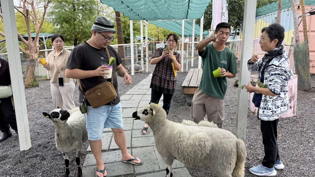 星夢森林劇場 (5)