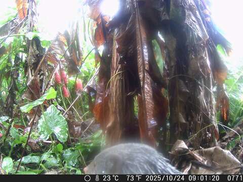 好時節休閒農場