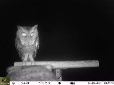 銘泉生態休閒農場