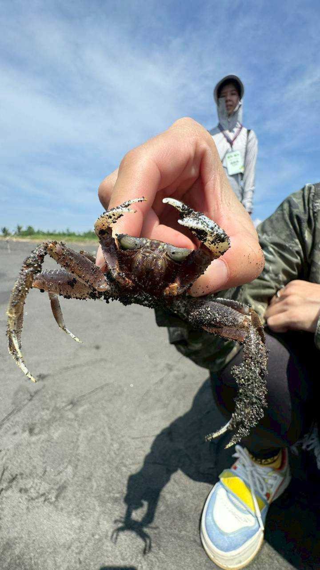 沙窯+抓沙蟹體驗_09