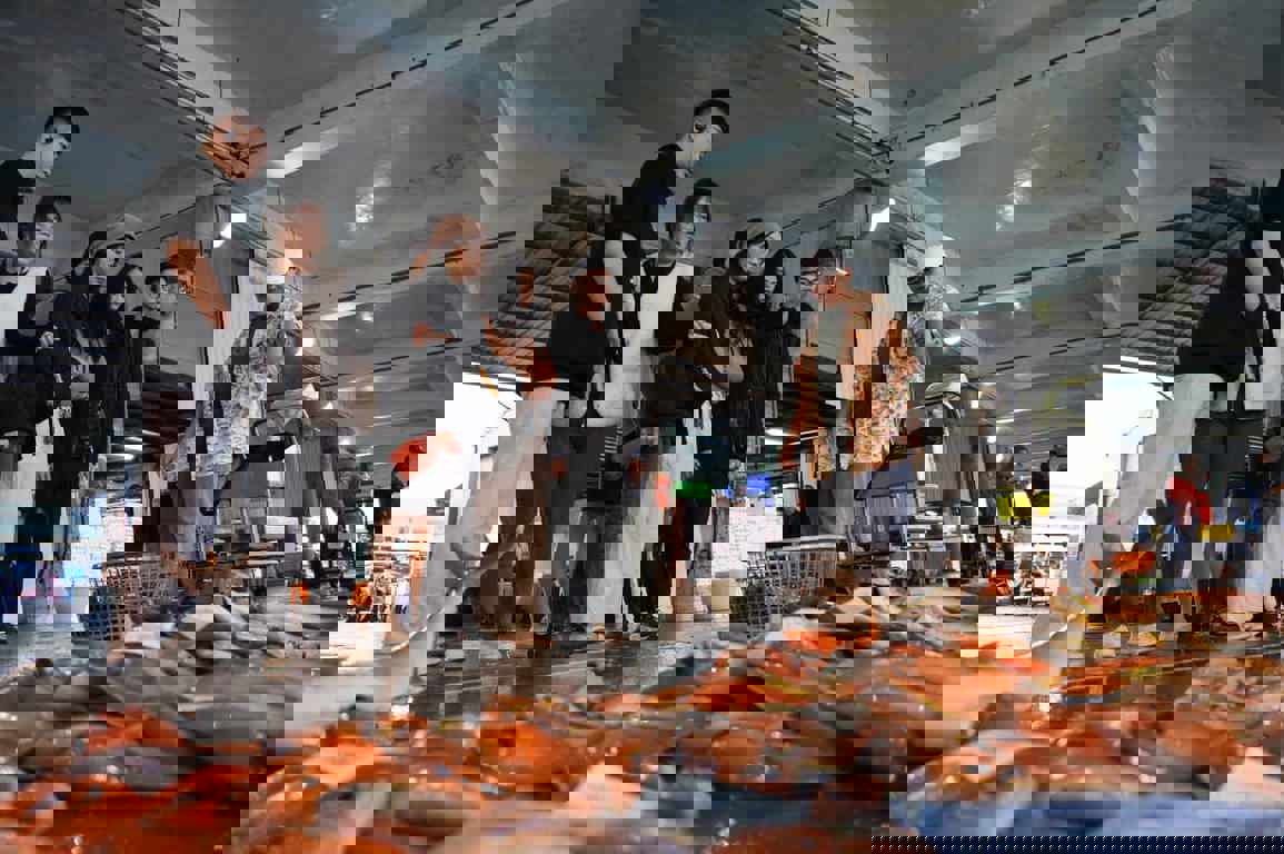 1-3漁獲上岸第一站-scaled