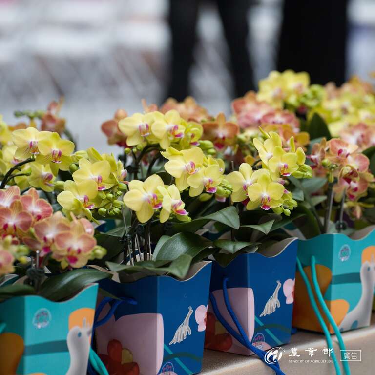 臺灣國際蘭展_蘭花2_取自農業部FB