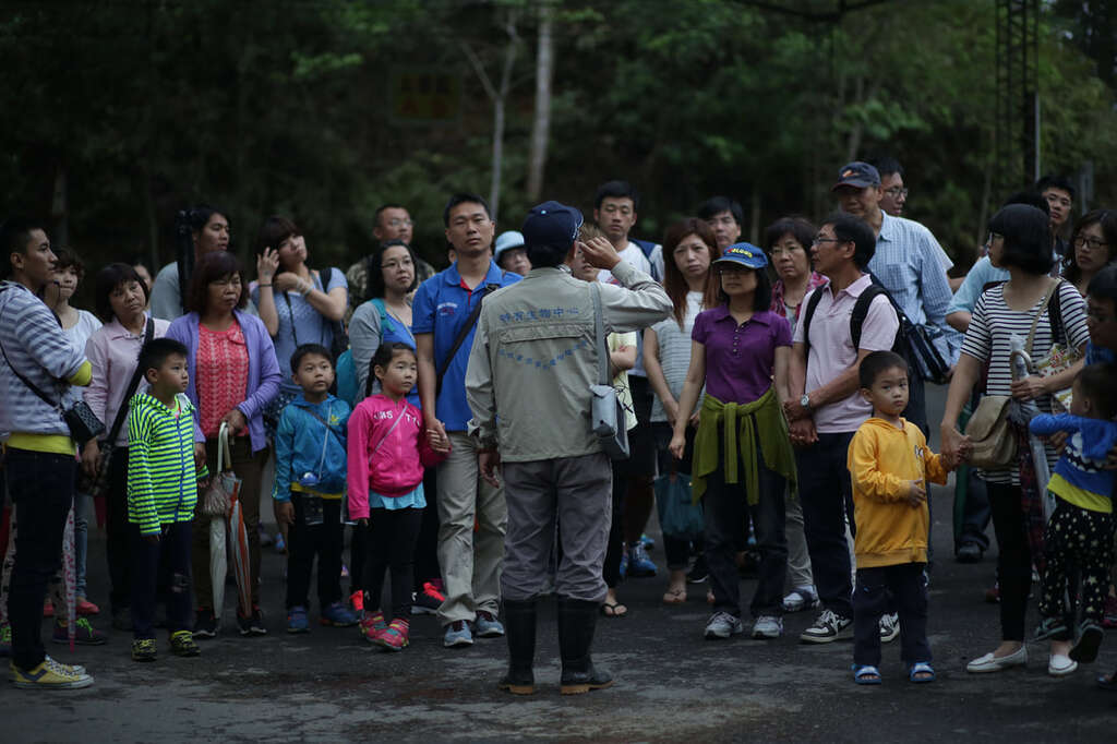 2026日月潭‧桃米賞螢季 (3)