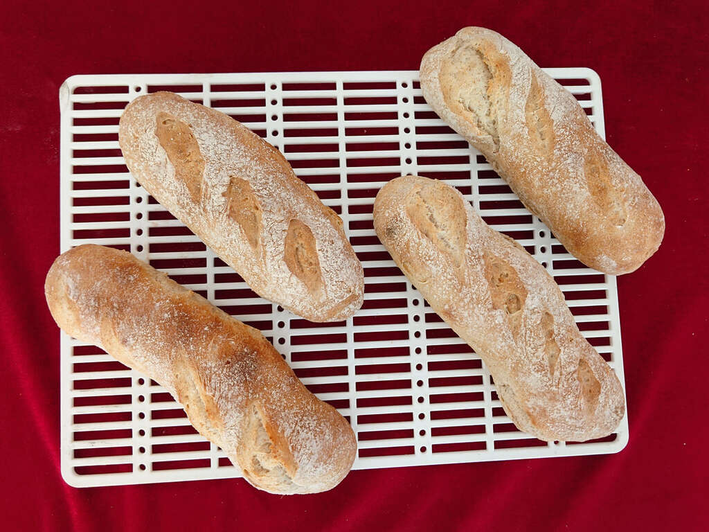 桃米休閒農業區｜柴燒窯+果醬DIY (5)