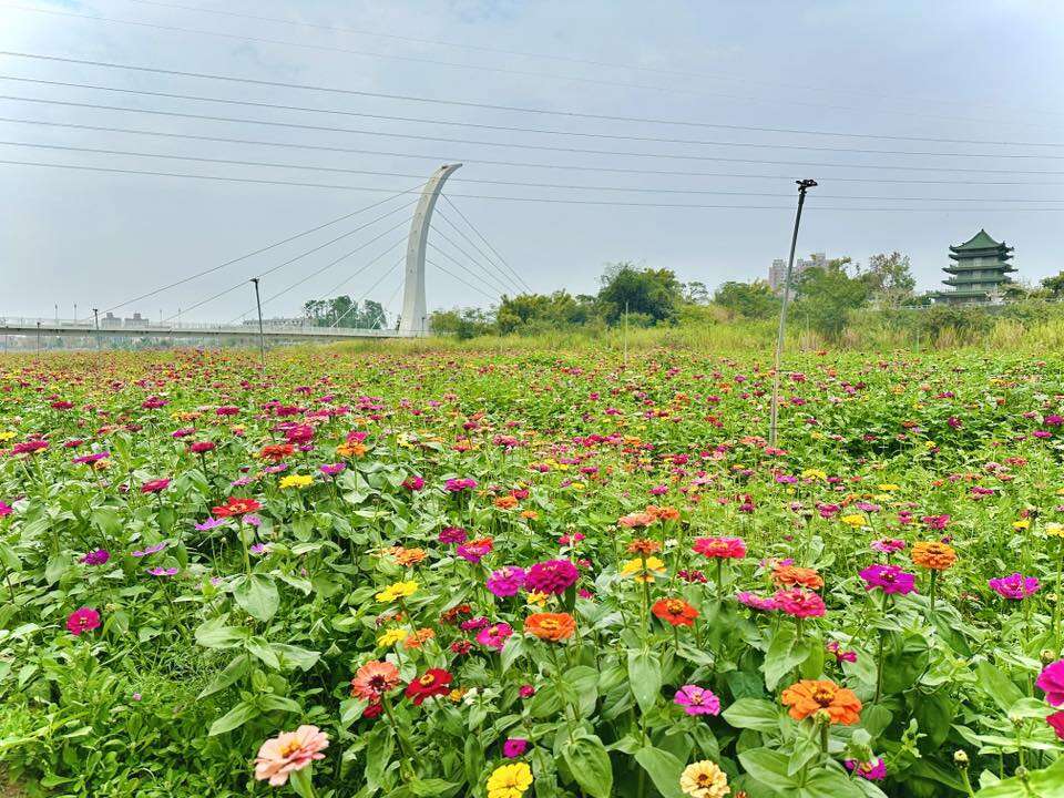 2026春嬉風鈴_花海_取自中埔鄉農會FB