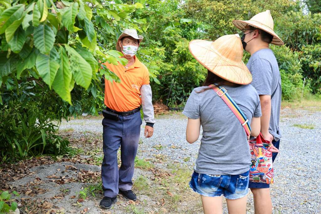 曲禾酒莊體驗活動會帶領遊客走訪周邊農田，介紹當地著名的釋迦、枇杷、梅子等多樣植栽跟社區環境002