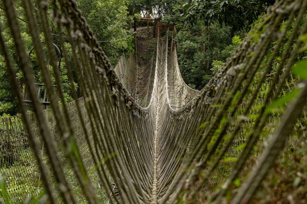 大坑休閒農場的吊橋