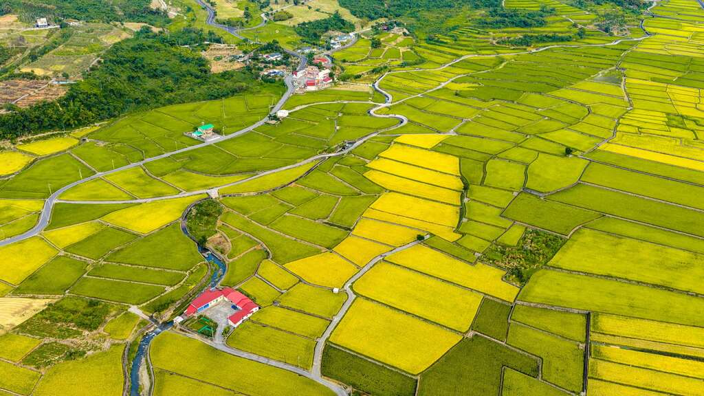 羅山休閒農業區