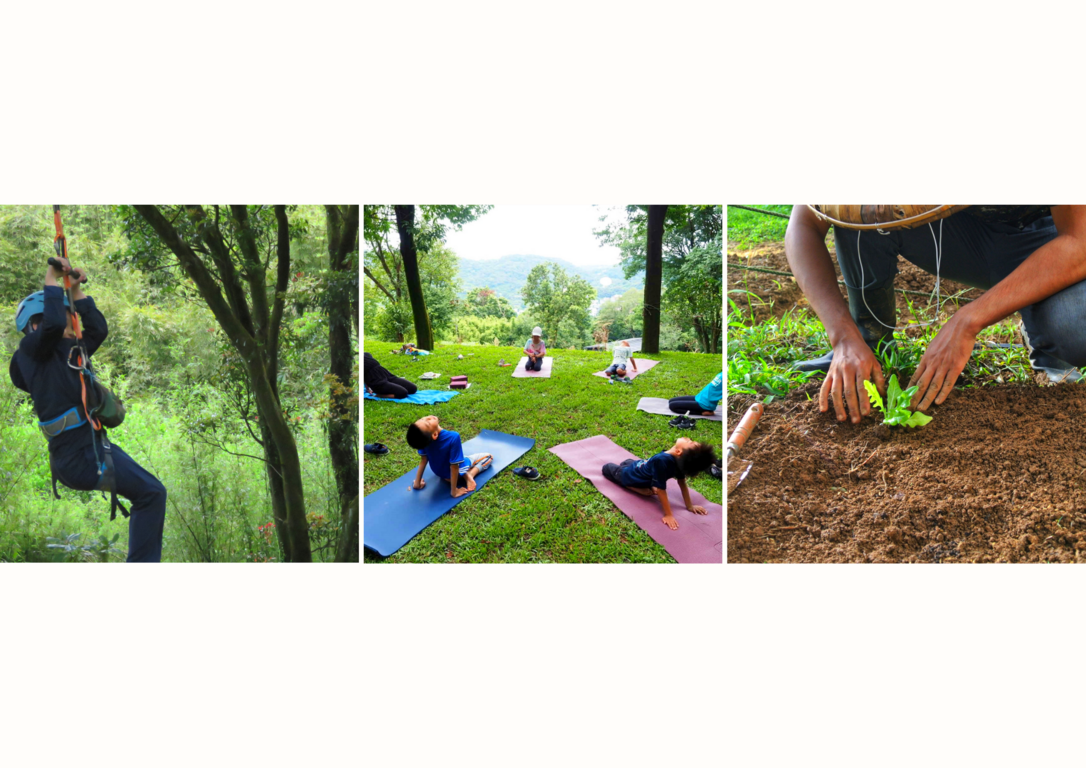 豐富的山林活動